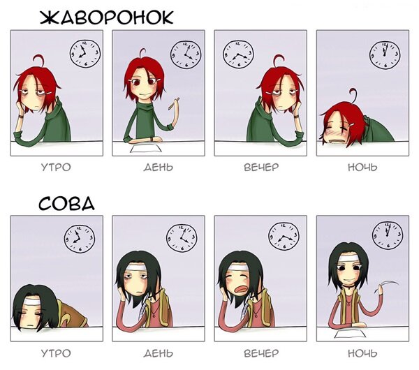 Фото взято с сайта http://alphyna.megus.org/