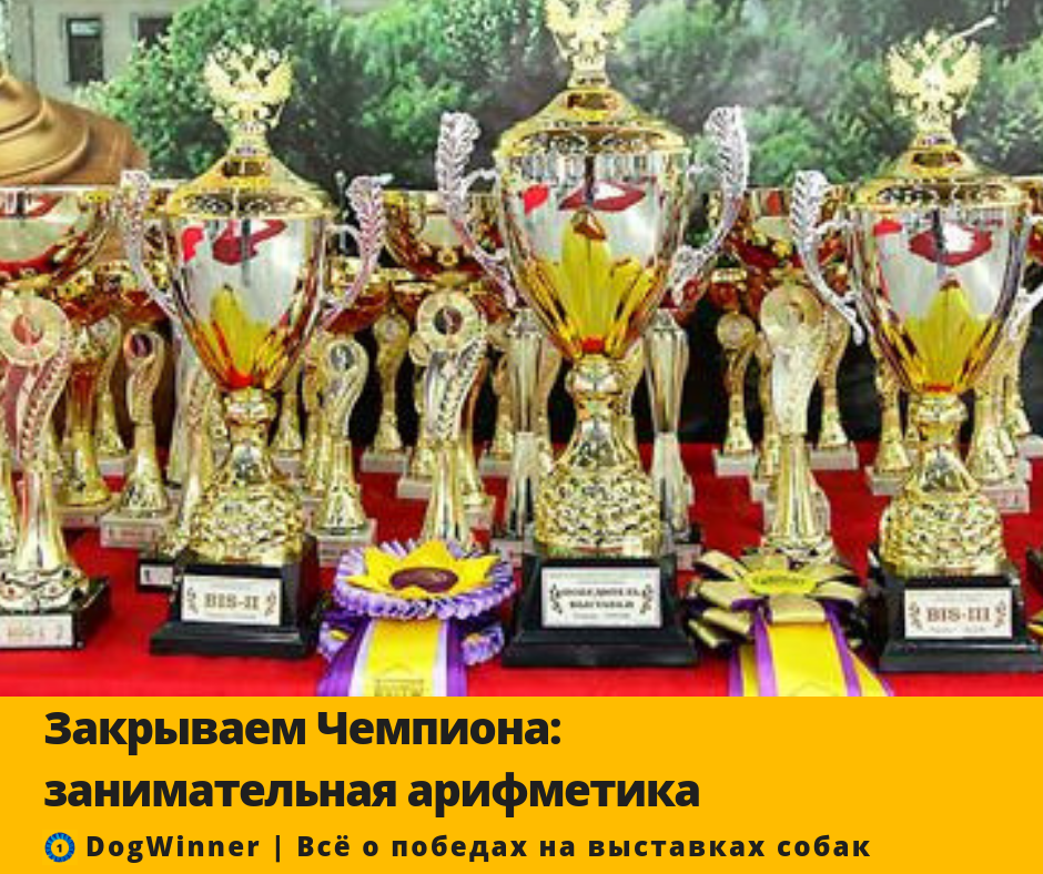 Фото: Кутовская М.