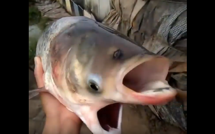 Скриншот из видео ютьюб