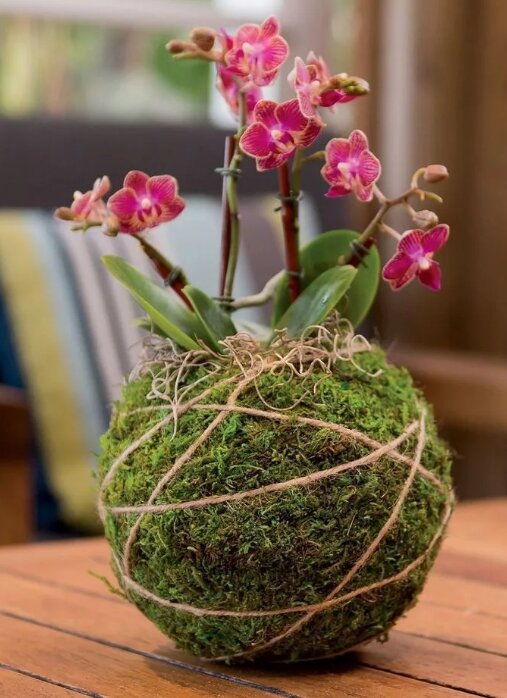 Кокедама: детали, которые приносят совершенство в декор