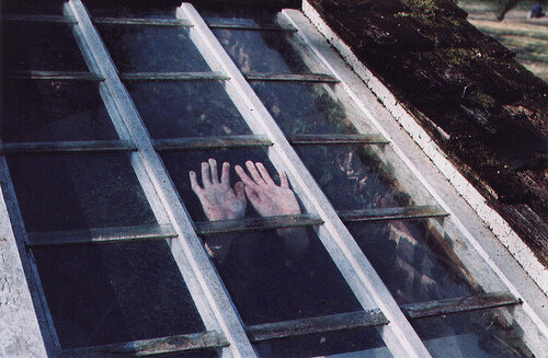 Источник фото: https://www.tumblr.com