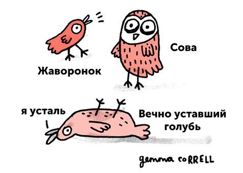 Кто голубь, тот я.