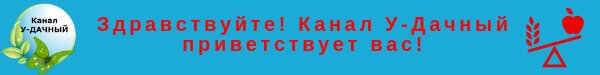 5 причин, почему не всходят семена