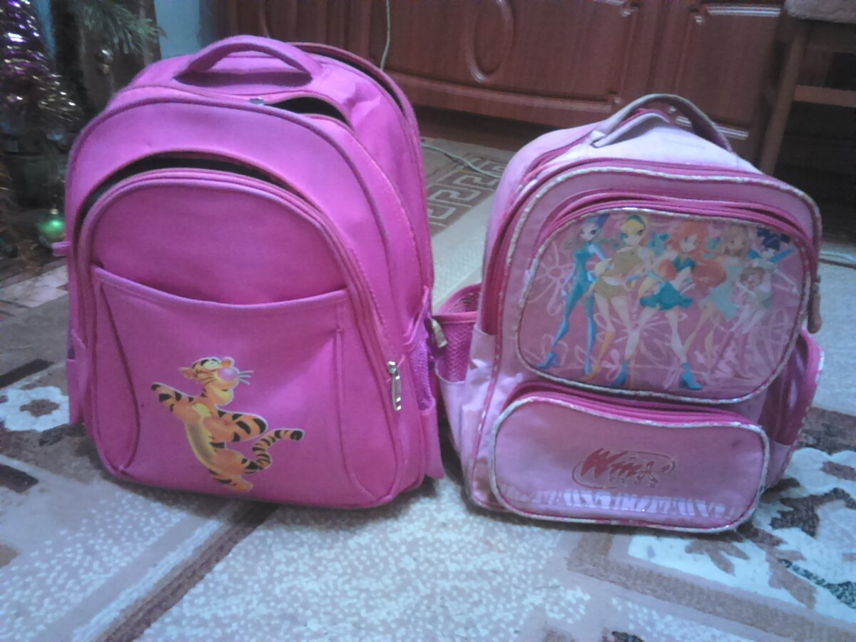 Рис.2 – На выручку приходит старый портфель