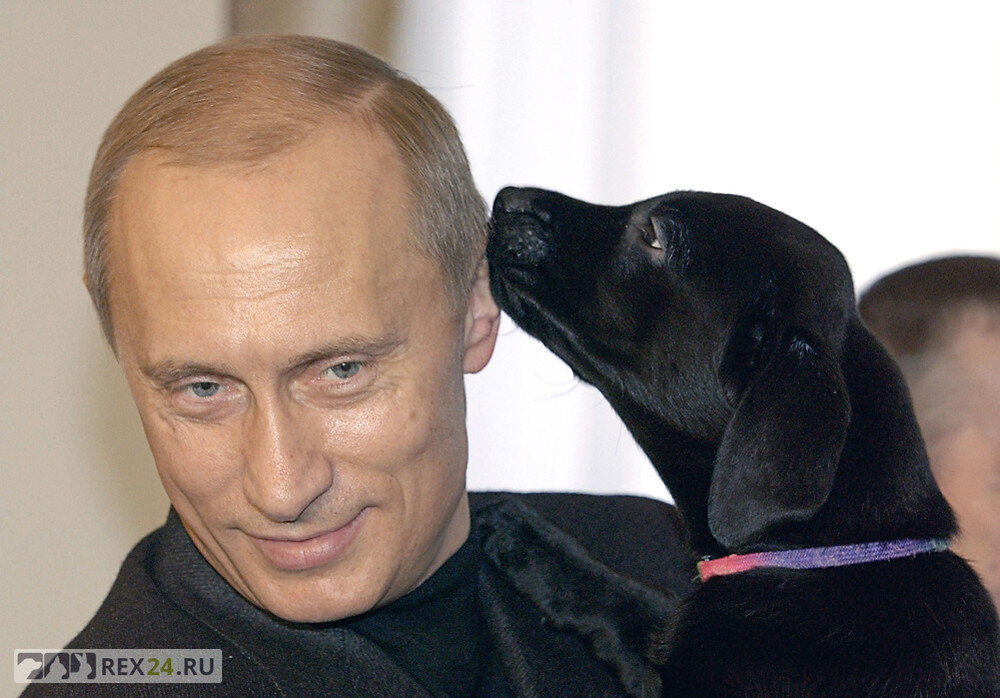 Фото: ru.reuters.com