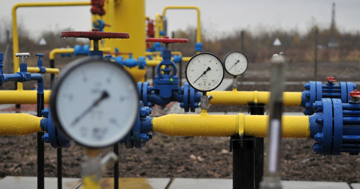 фото: https://static.life.ru/