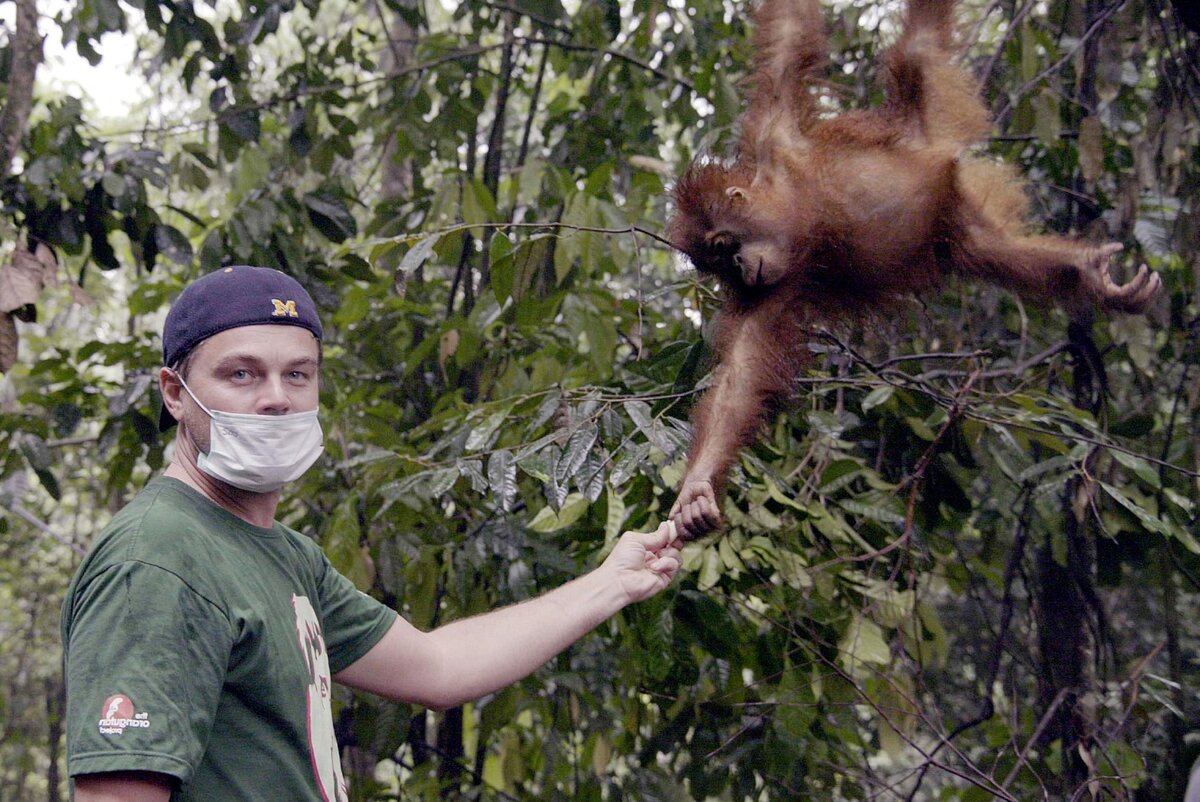 Спасти планету (Before the Flood) / 2016