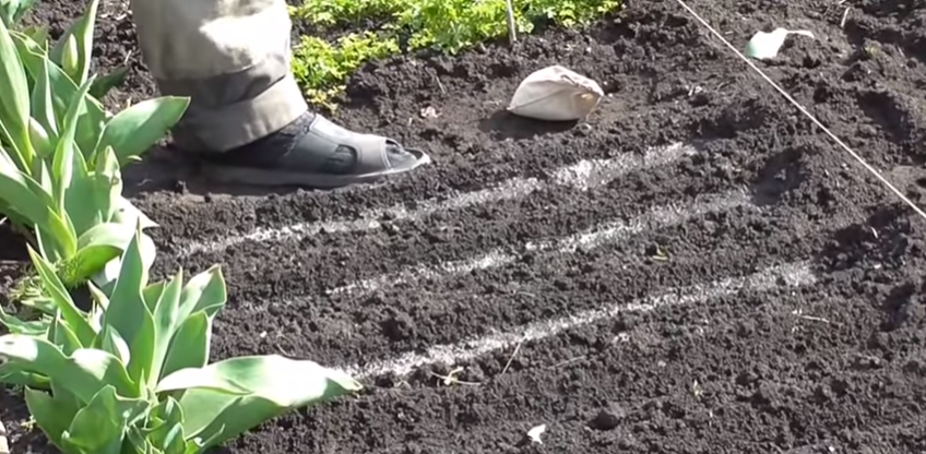 Подготовка грядки. 