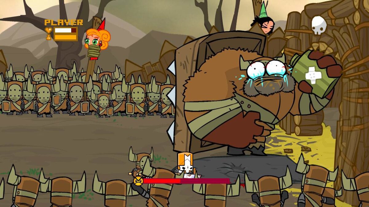 Castle Crashers | Coopgames | Дзен