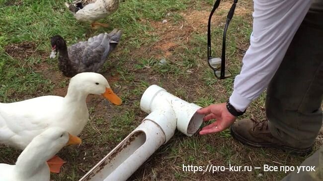 Какой должна быть хорошая поилка