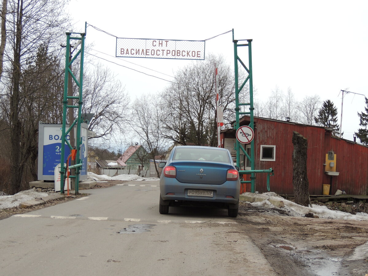 Садоводство Василеостровское | ЖИЗНЬ САДОВОГО ТВОРЦА | Дзен