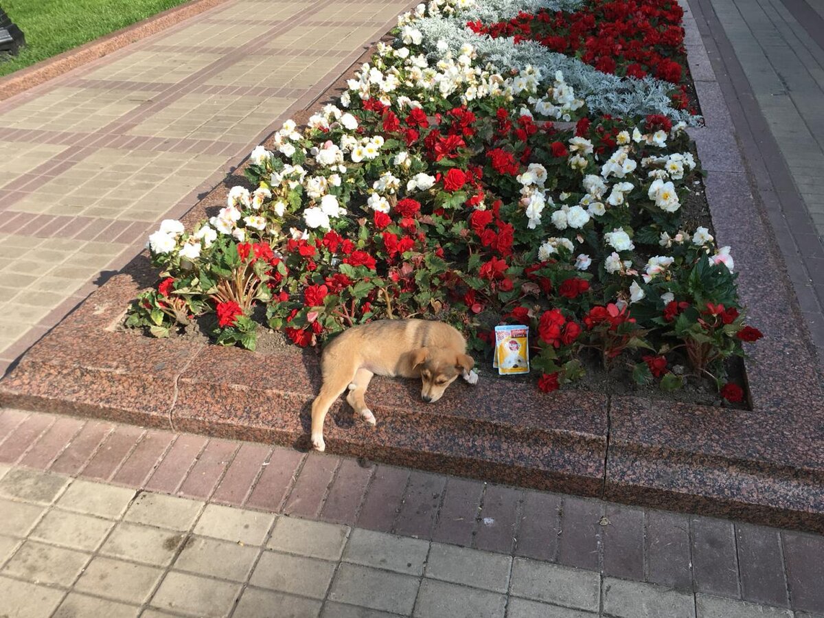 Центр Москвы. Чистые пруды. 