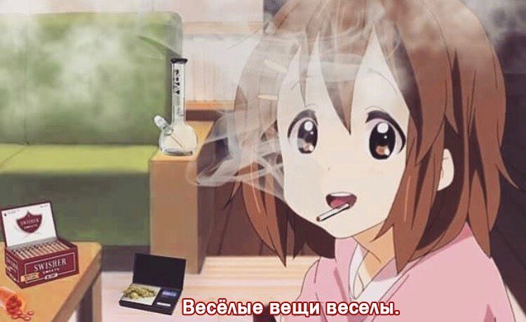 Два раза "ку", мои малиновые штаны.  Знаете, это довольно странно, что в 2019 году существуют люди, неспособные отличить наркотическую зависимость от психологической. И что существуют люди, которые считают, что наркоманов стоит жалеть. Сегодня мы об этом поговорим подробней. С вами всё так же НМ, доцент кафедры Бакланологии и Прикладной Долбодятлистики. Погнали.