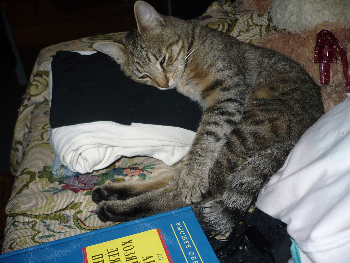 фото из личного архива автора