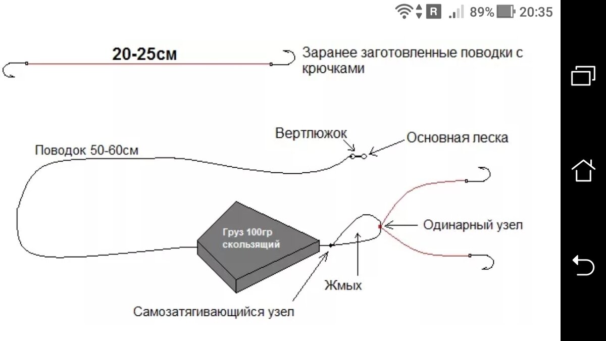 Собираем макушатник для крупного карпа