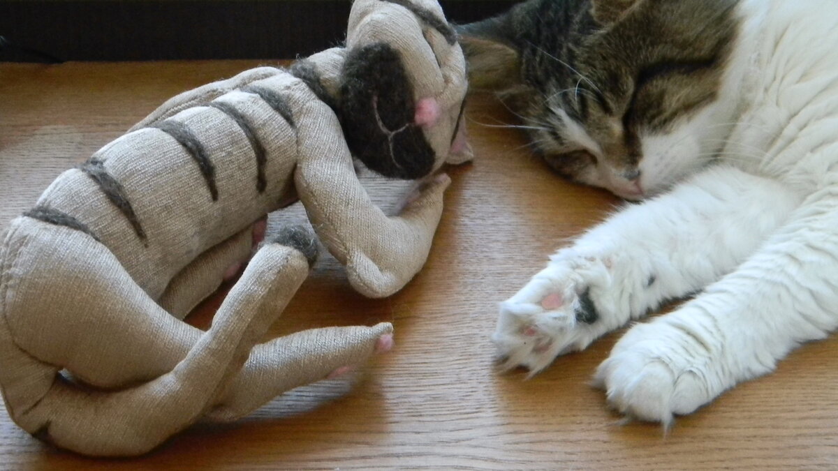 Подушка кот своими руками: выкройки, фото идеи, видео мастер-классы