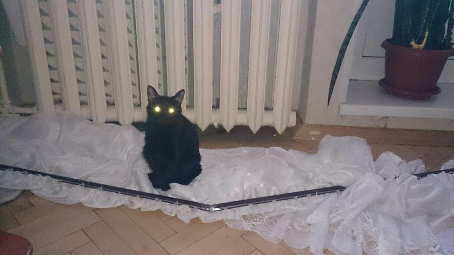 яндекс картинки 