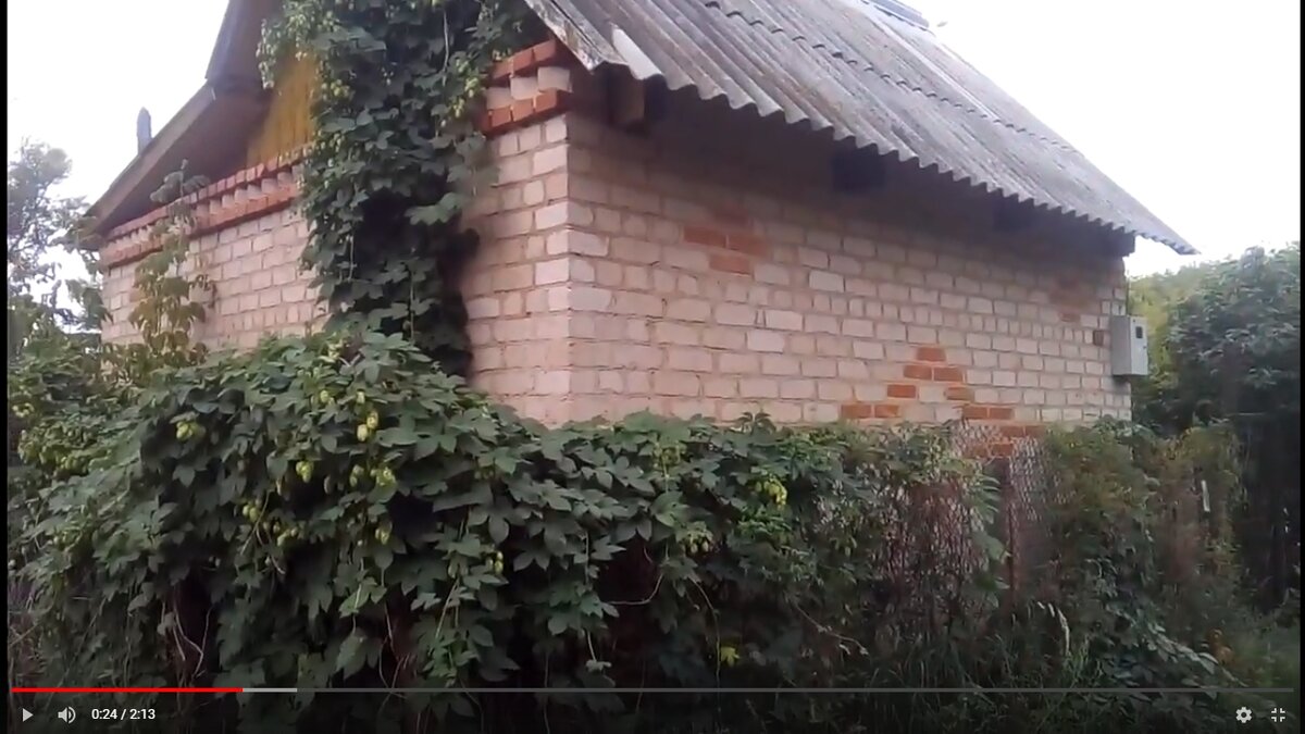 Это дача рядом с моим участком, фото с фрагмента видео с моего канала на Ютуб