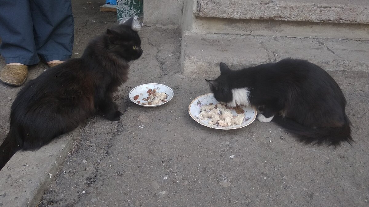 Любаша (слева)