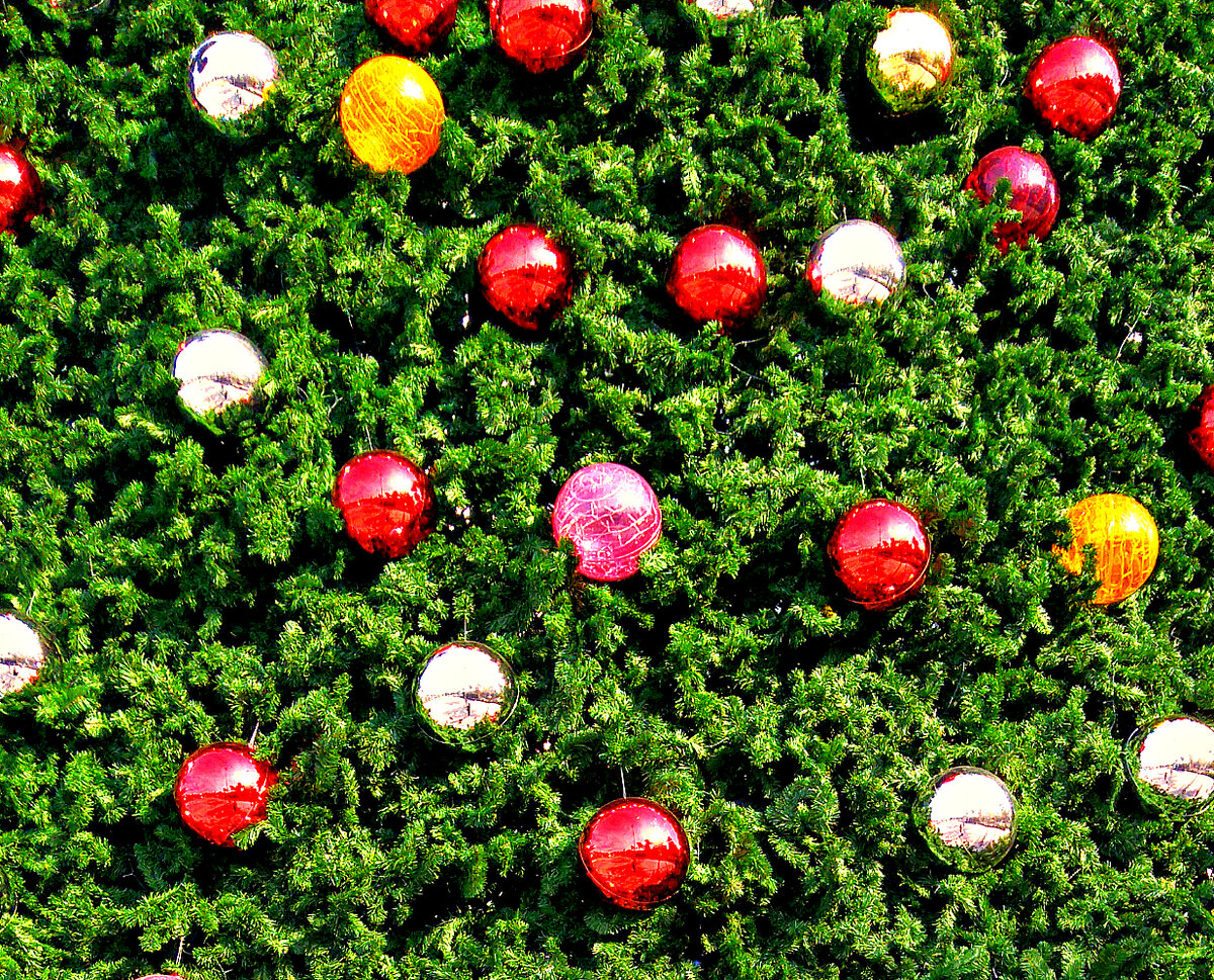 Из личного фотоархива