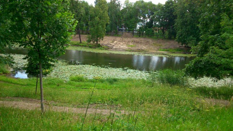 Графский пруд суть. Пруд в Мурино. Водоем Графский пруд в Мурино. Графский парк Мурино. Мурино Графский пруд Поляна.