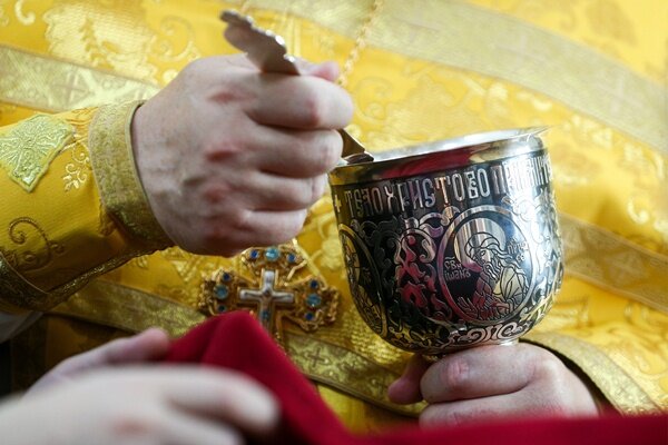 Фото: Егор Алеев/ТАСС