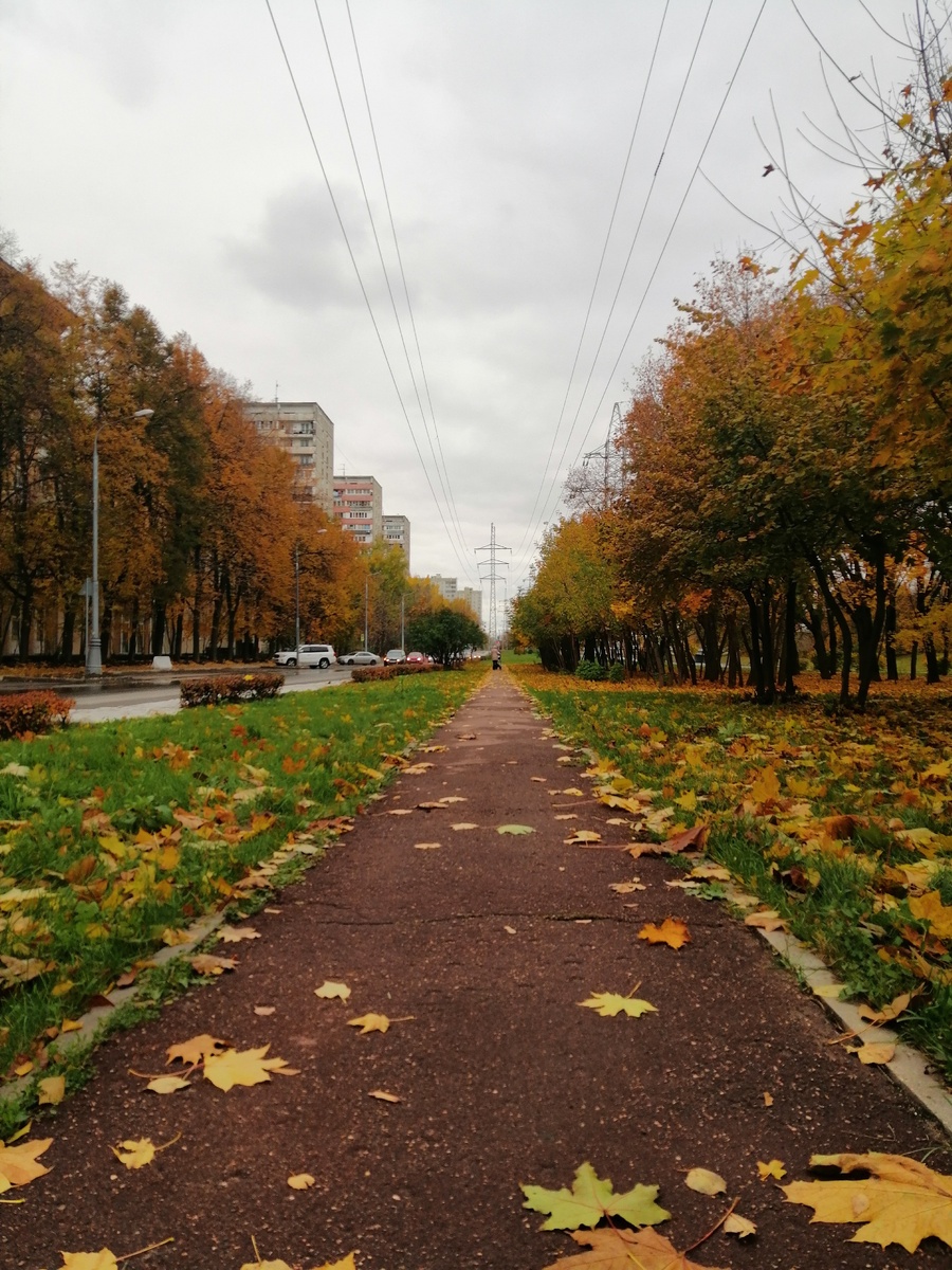 Осень