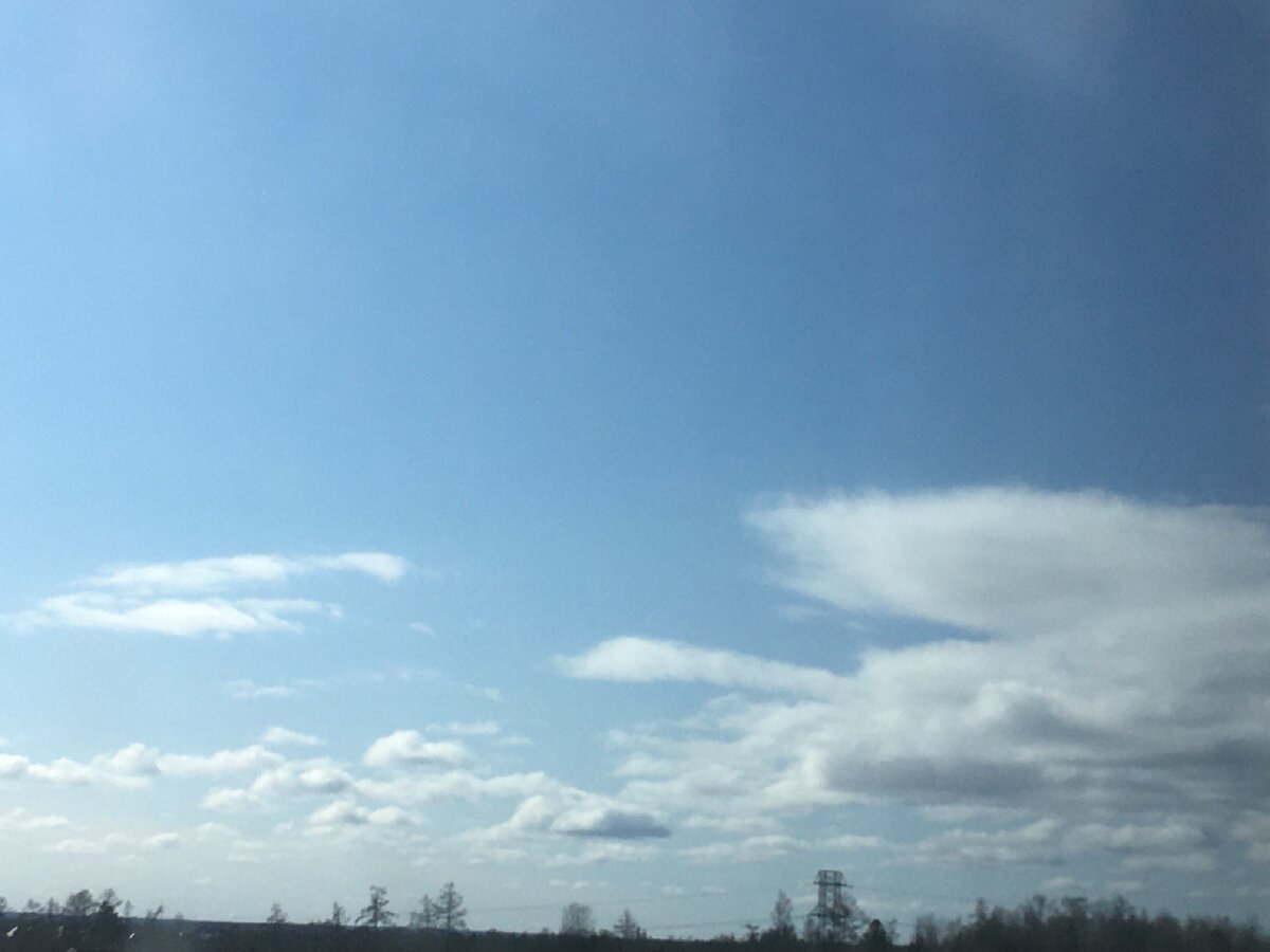 Одна из таких фотографий 