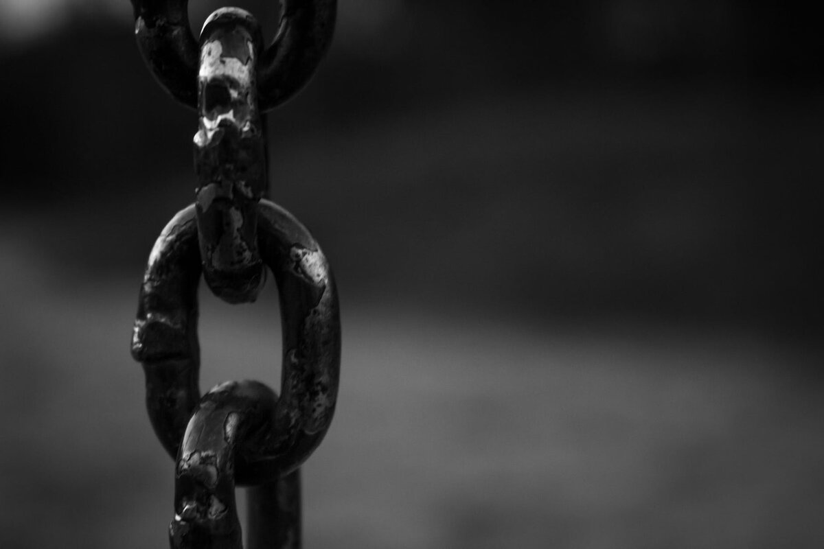 https://images.pexels.com/photos/147635/pexels-photo-147635.jpeg?cs=srgb&dl=pexels-147635.jpg&fm=jpg