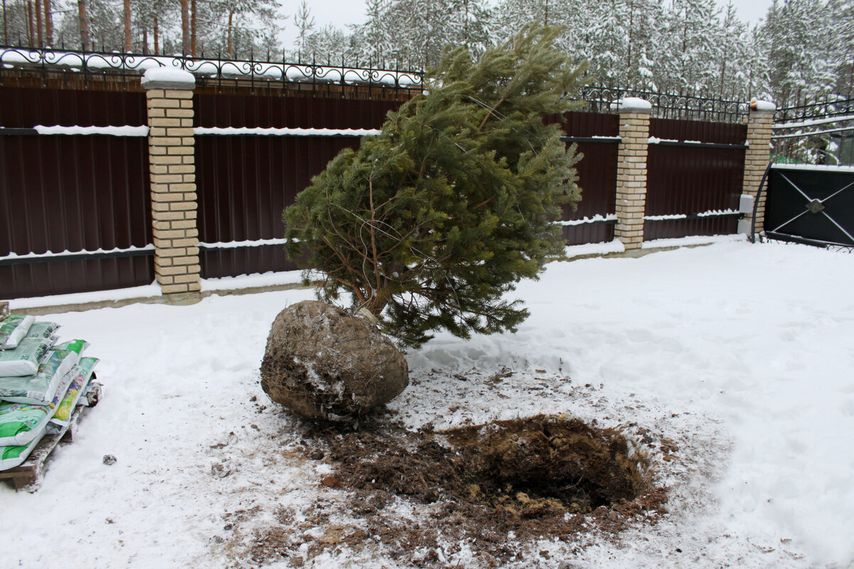 Фото компании «Любимая Дача»