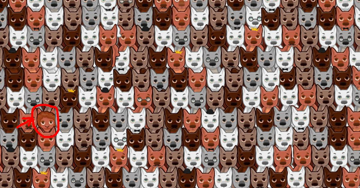 фото из открытого источника.