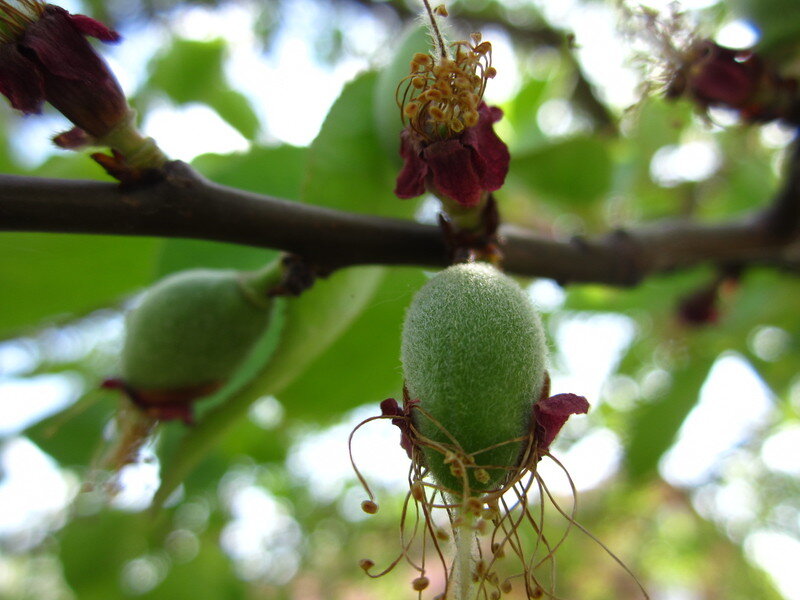 фото взято с просторов интернета, благодарю автора за снимок