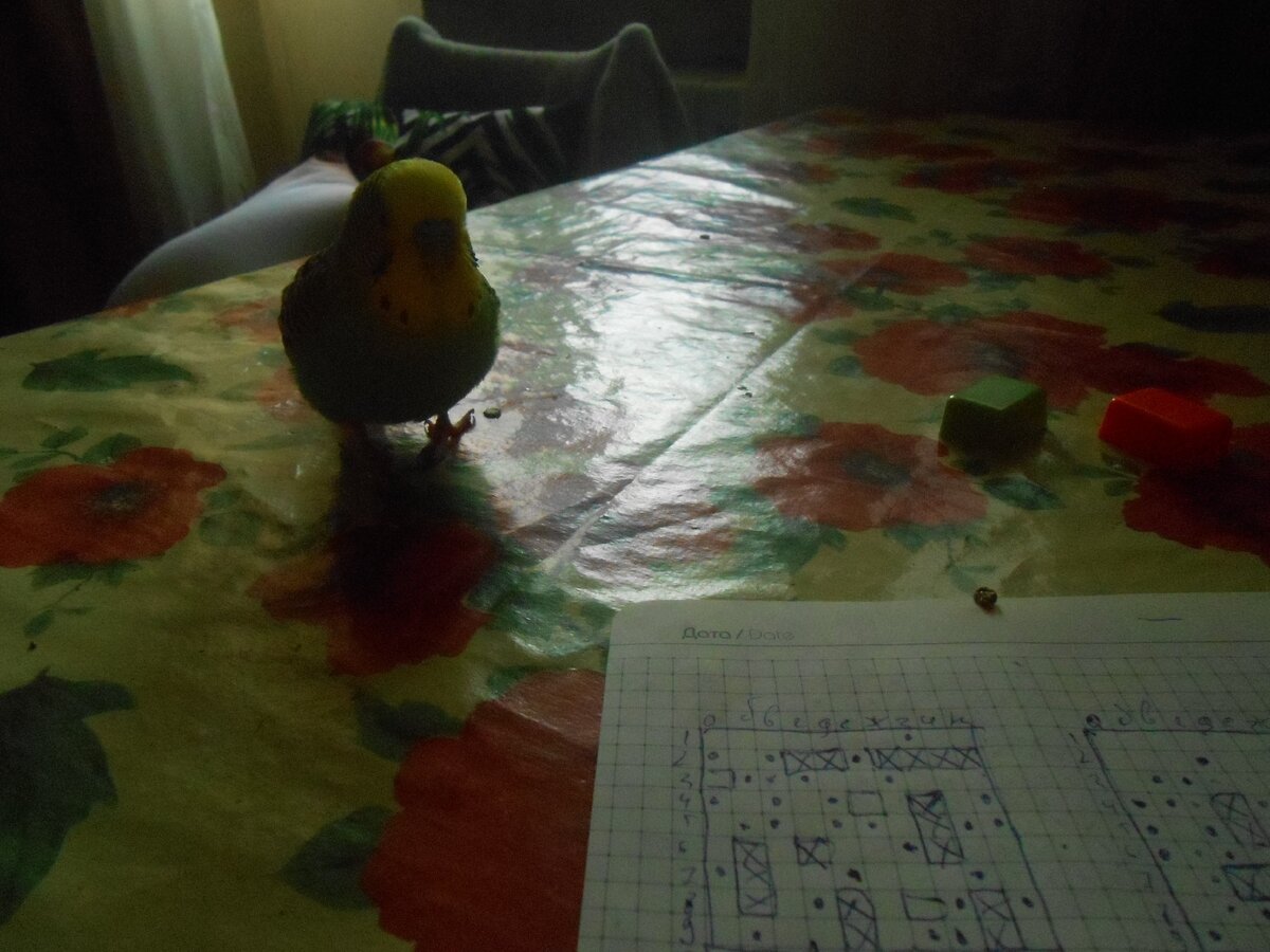 -2