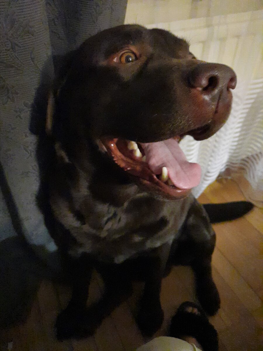 Ганя и Паня