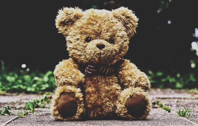 Изображение Alexas_Fotos с сайта Pixabay 