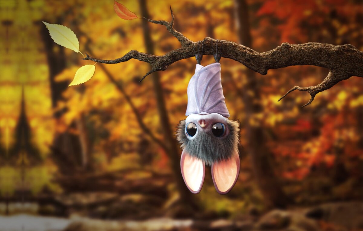 фото из открытых источников