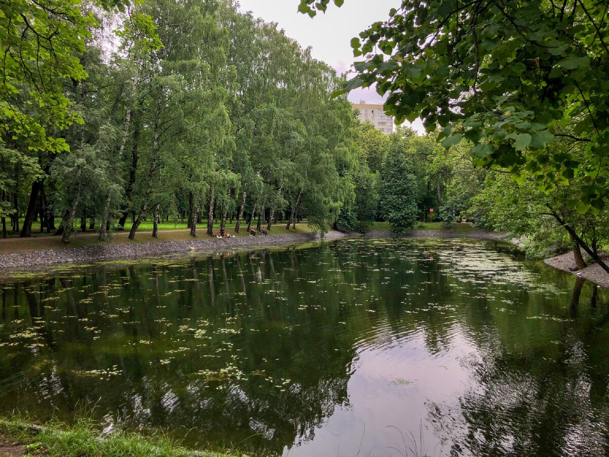 Фото головинские пруды