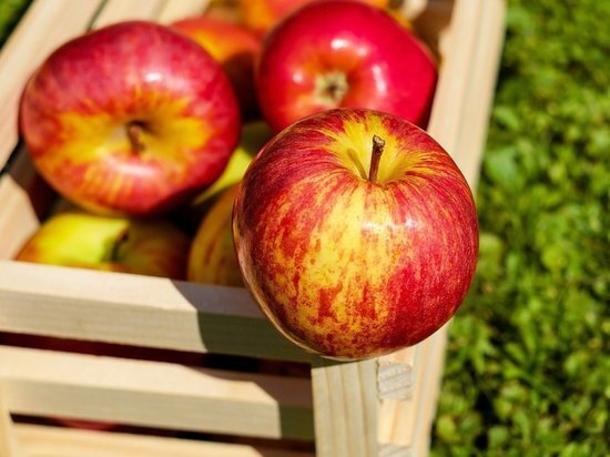 ФОТО: PIXABAY.COM 