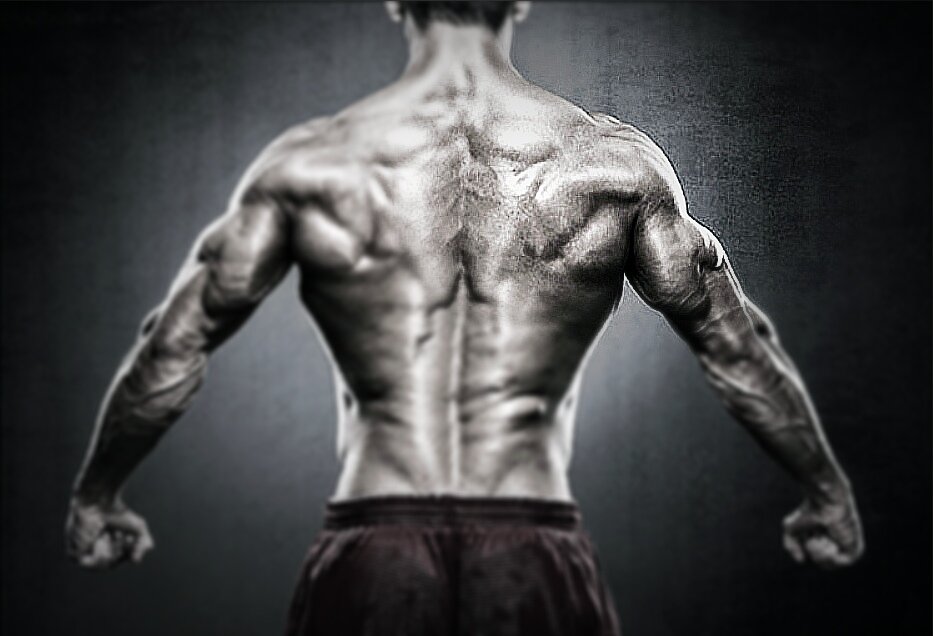 Задние дельты атлета