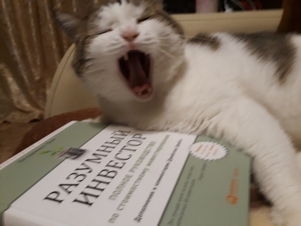 "Когда советуют поменьше рисковать". Фото с сайта: smart-lab.ru