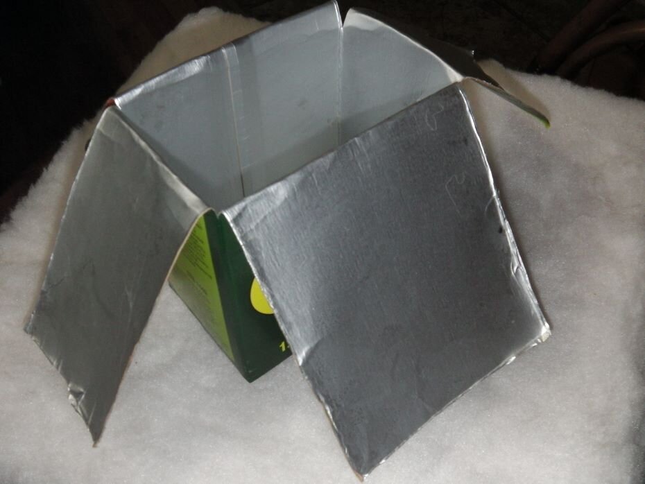 Хитрая тара для рассады. Фото автора