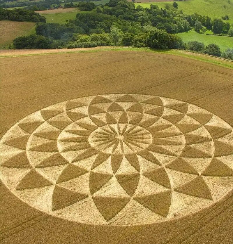 Круг на поле.