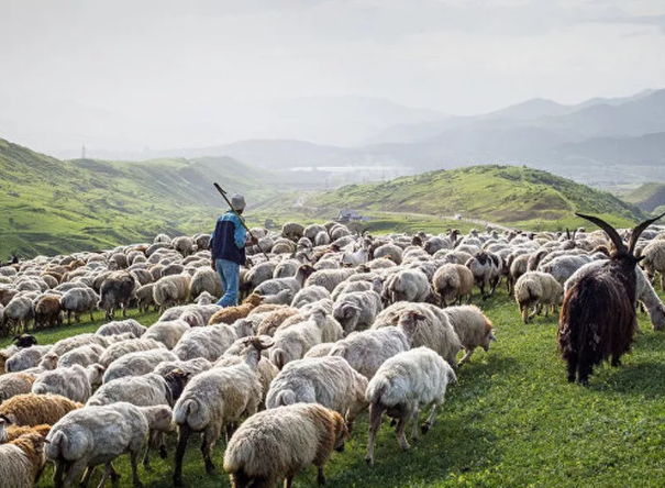 Фото тут из-за красивого пейзажа. Из Яндекс картинок