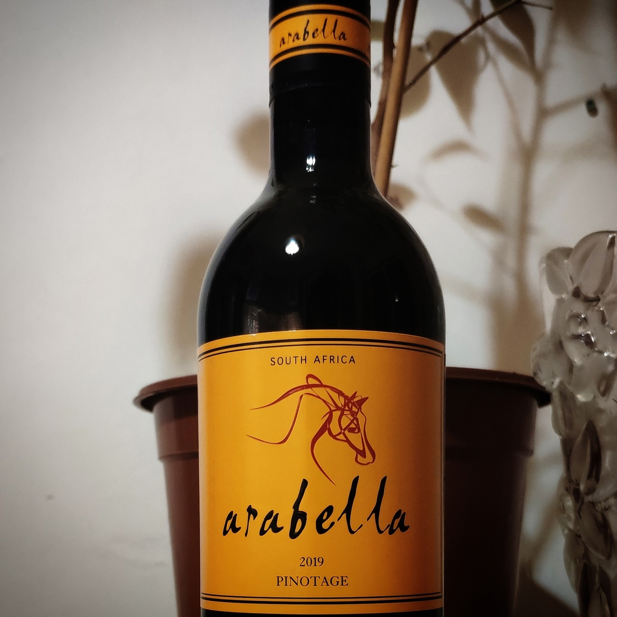 Вино пинотаж юар. Вино Arabella Pinotage. Вино Арабелла Пинотаж красное. Вино Арабелла Пинотаж. Арабелла вино ЮАР.