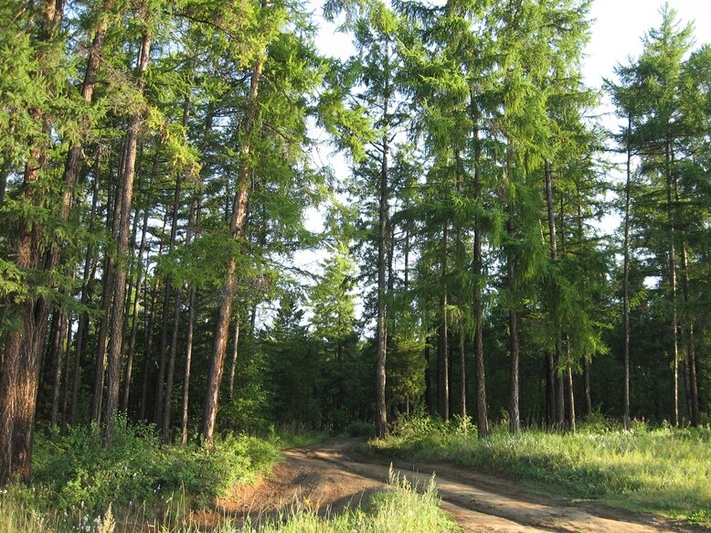 Берег Байкала.