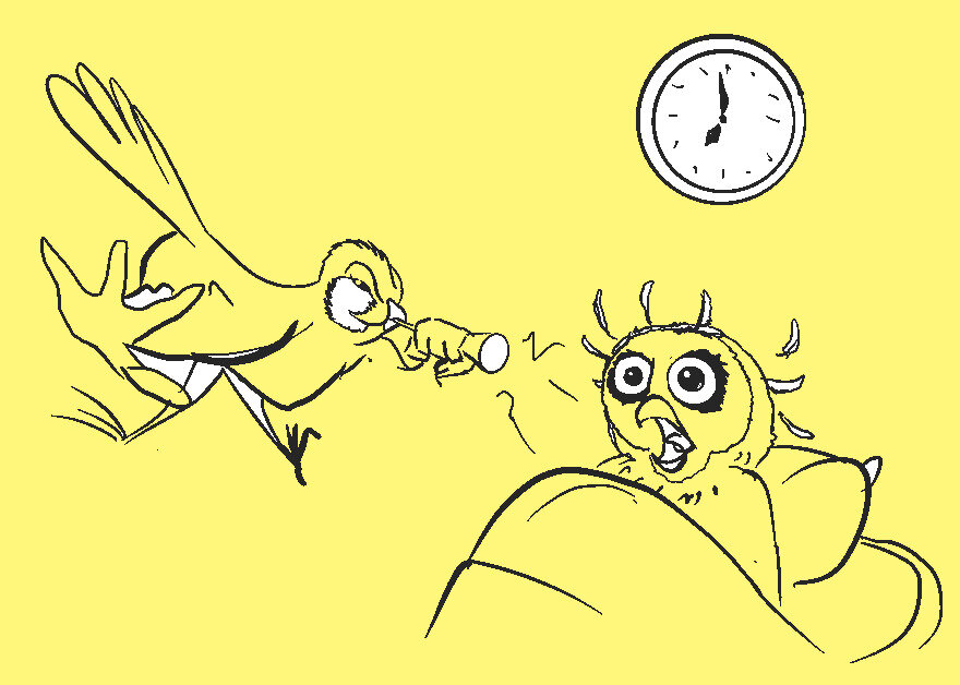 Фото Яндекс.Картинки