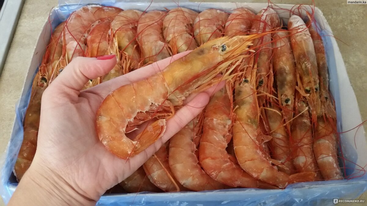 Сырые лангустины