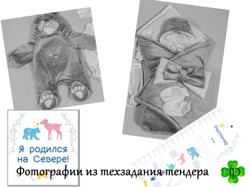 Коллаж из фотографий в техническом задании тендера.