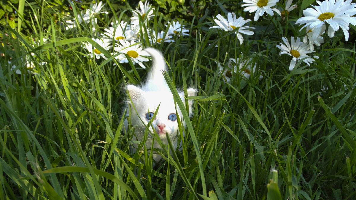 Фото из Яндекс.Картинки