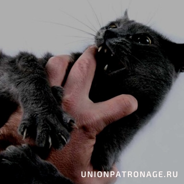 Фото взято из открытых источников 